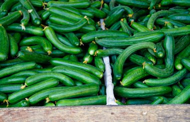 Yunanca rhodes 'de işaretli salatalık