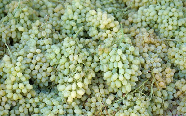 Las Uvas Sobre Las Marcas Los Rodos Griego —  Fotos de Stock