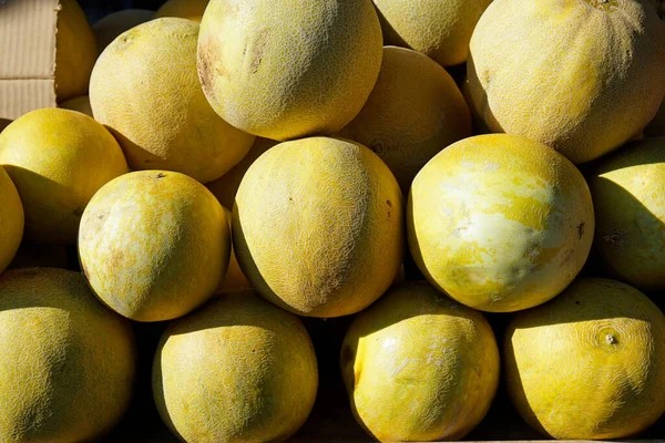成熟的瓜子在希腊罗得岛的市场上 — 图库照片