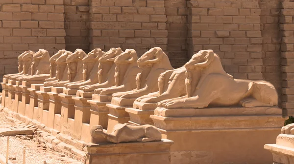 Karnak — Stok fotoğraf