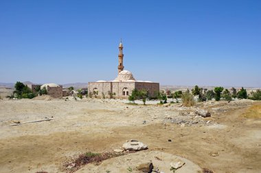 Mısır'daki Camii