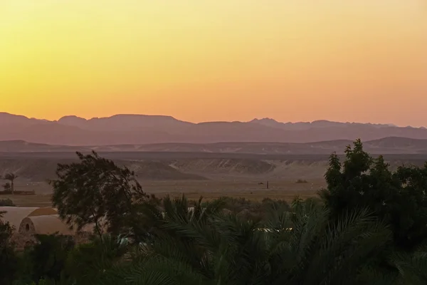 Закат и пустыня — стоковое фото
