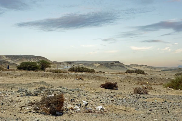 Wüstenlandschaft — Stockfoto