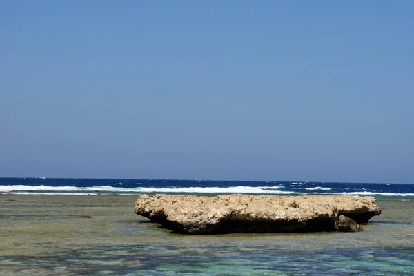 Arrecife de coral —  Fotos de Stock