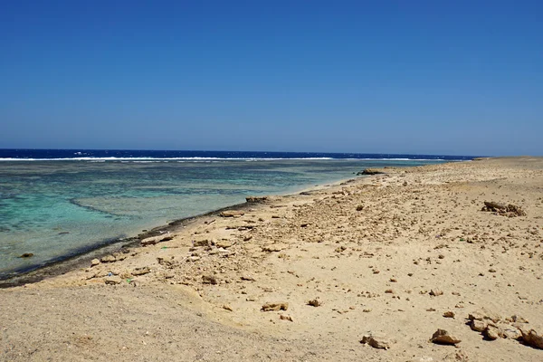 Arrecife de coral —  Fotos de Stock