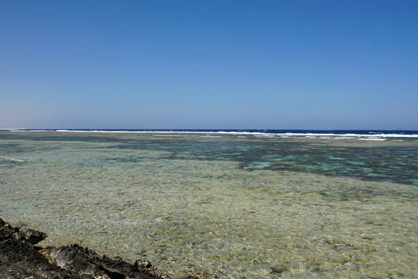 Arrecife de coral —  Fotos de Stock