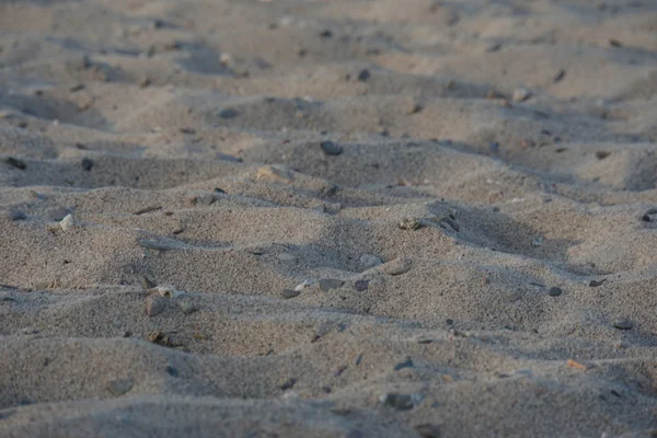 Zandstrand — Stockfoto