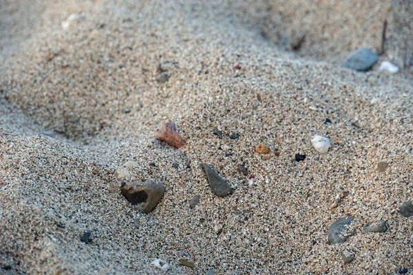 모래 해변 — 스톡 사진