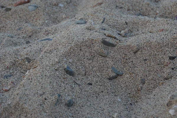 Playa de arena — Foto de Stock