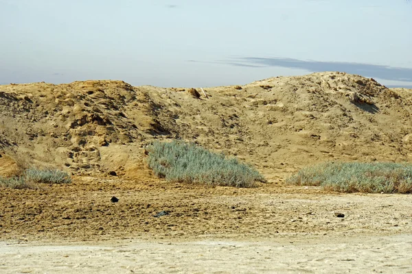 Τοπία ερήμου — Φωτογραφία Αρχείου