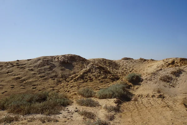 Paysage désertique — Photo