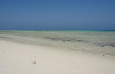 güzel atoll