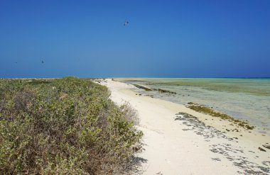 güzel atoll