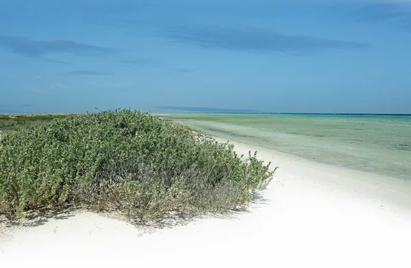 Schönes Atoll — Stockfoto