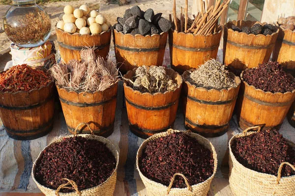 Mercado de hielo egipcio — Foto de Stock