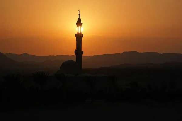 Mosque in egypt at sunset — Stock Photo, Image