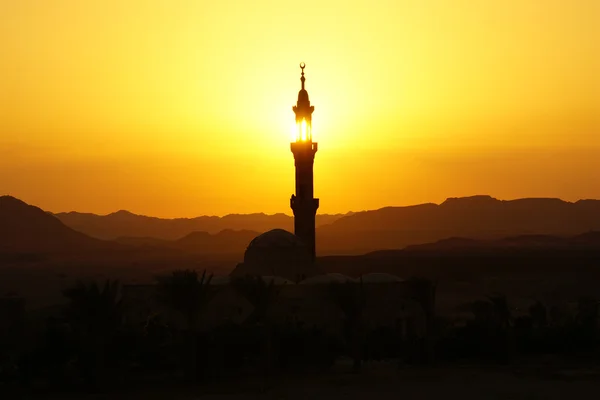 Mosque in egypt at sunset — Stock Photo, Image