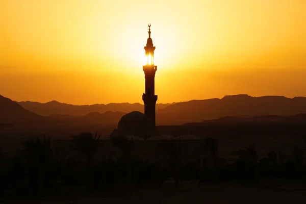 Mosque in egypt at sunset — Stock Photo, Image