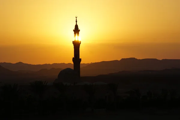 Mosque in egypt at sunset — Stock Photo, Image