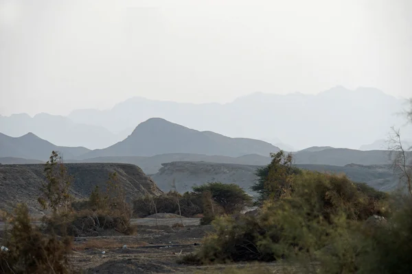 Wüstenlandschaft — Stockfoto