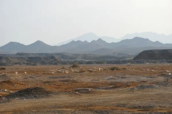 Wüstenlandschaft — Stockfoto