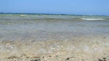 Şaşırtıcı Kızıldeniz