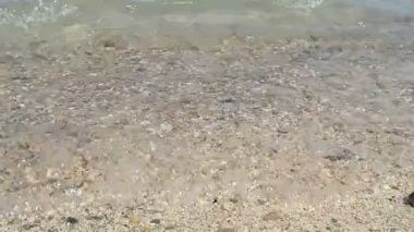 Şaşırtıcı Kızıldeniz