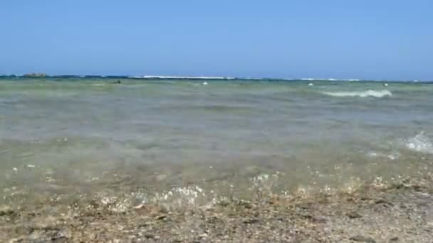驚くべき紅海 — ストック動画