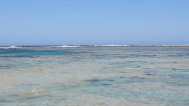 Şaşırtıcı Kızıldeniz