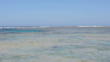 Şaşırtıcı Kızıldeniz