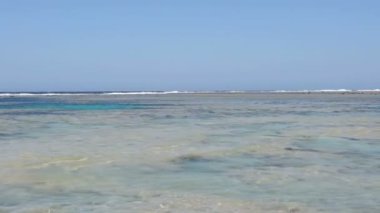 Şaşırtıcı Kızıldeniz