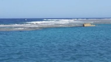 Şaşırtıcı Kızıldeniz