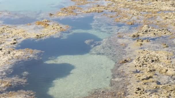 Increíble mar rojo — Vídeo de stock