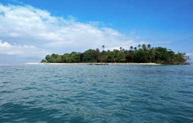 Kosta Rika gösterimler