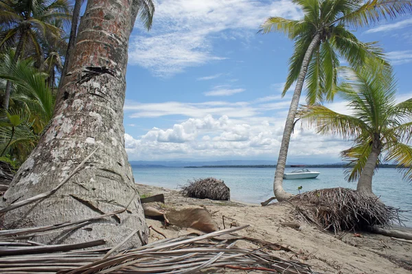 Vacances dans les Caraïbes — Photo