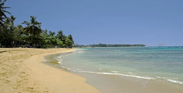 Las terenas — Stockfoto