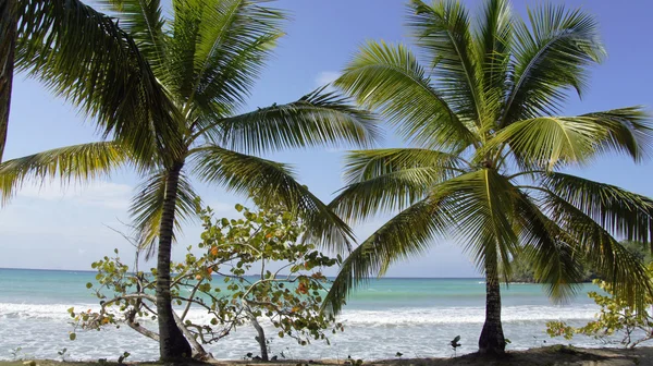 Playa perfecta — Foto de Stock