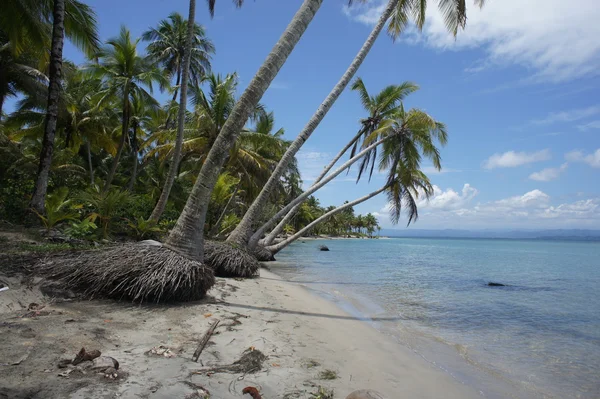 Indrukken uit costa rica — Stockfoto