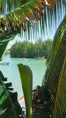Anse madge praslin üzerinde