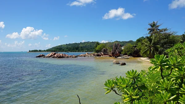 Tropical Bay — Stockfoto