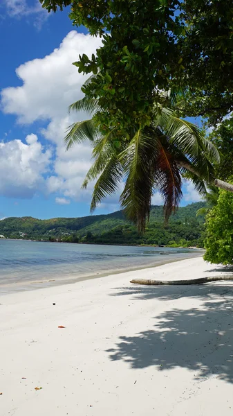 Anse boudin — Stockfoto