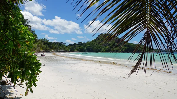 Playa tropical — Foto de Stock