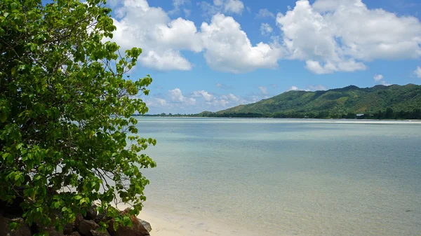 Grand anse on praslin — Stock Photo, Image