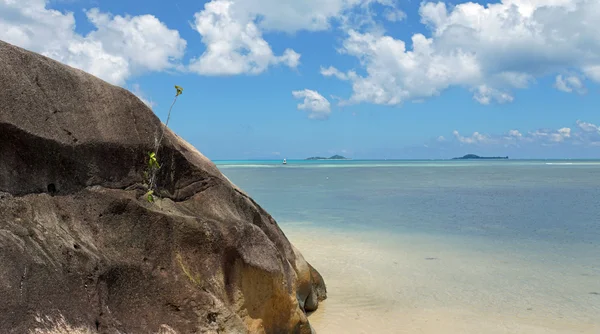 Playa tropical — Foto de Stock