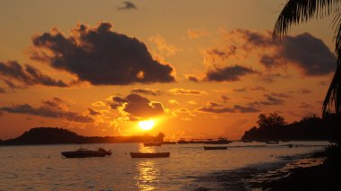 tropik gün batımı