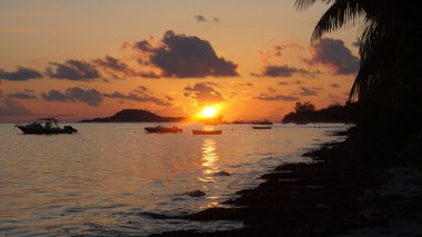 tropik gün batımı