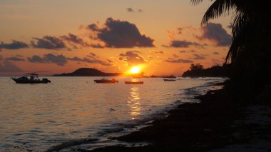 tropik gün batımı