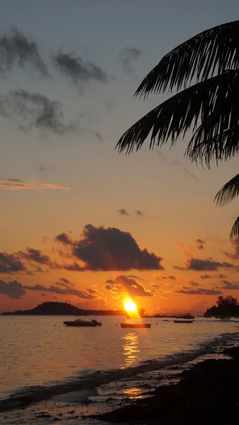 Tropischer Sonnenuntergang — Stockfoto