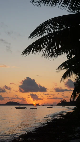 Tropischer Sonnenuntergang — Stockfoto