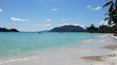 doğal tropikal plaj